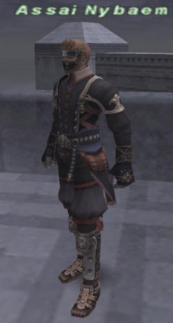 BG Wiki 上的 Assai Nybaem