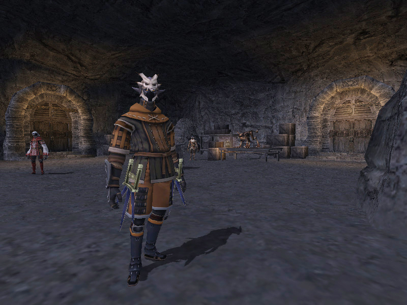 WE ARE VANA'DIEL 官方 Dynamis-Tavnazia 图