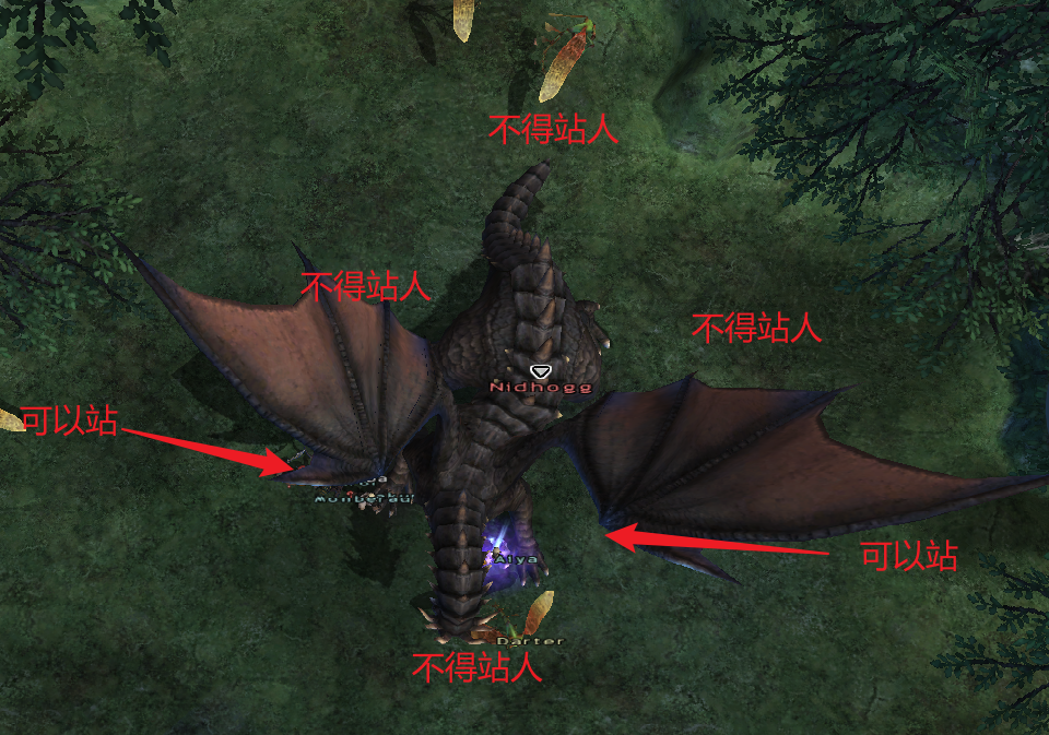 Fafnir 龙头两侧安全站位示意