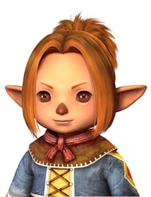 FFXIclopedia 上的 Grounds of Valor