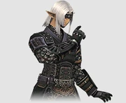 FFXIclopedia 上的 NIN 职业图