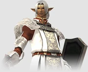 FFXIclopedia 上的 PLD 职业图